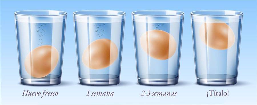 El Test del Huevo