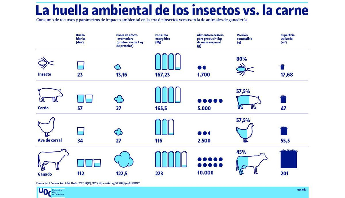 Infografía de la huella ambiental del consumo de insectos vs carne