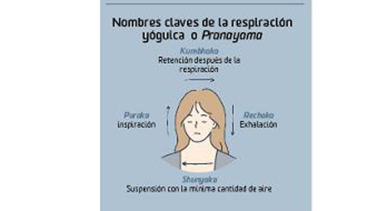 Fases de la respiración o Pranayama en yoga
