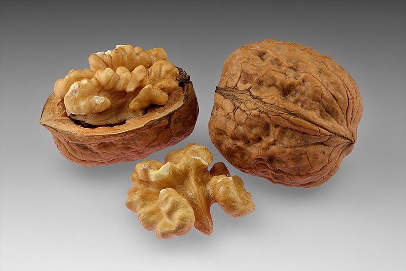 nueces nueces