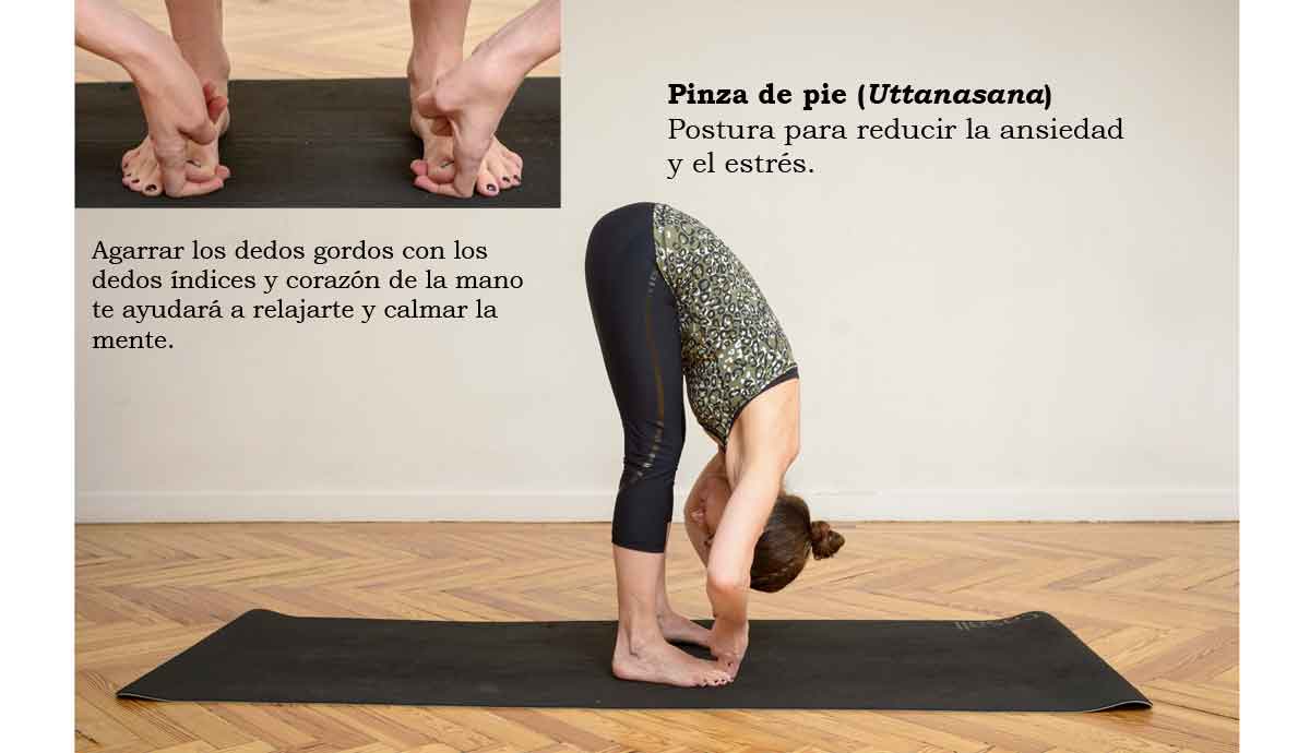 Postura de la Pinza con agarre de los dedos gordos de los pies o Padangusthasana 