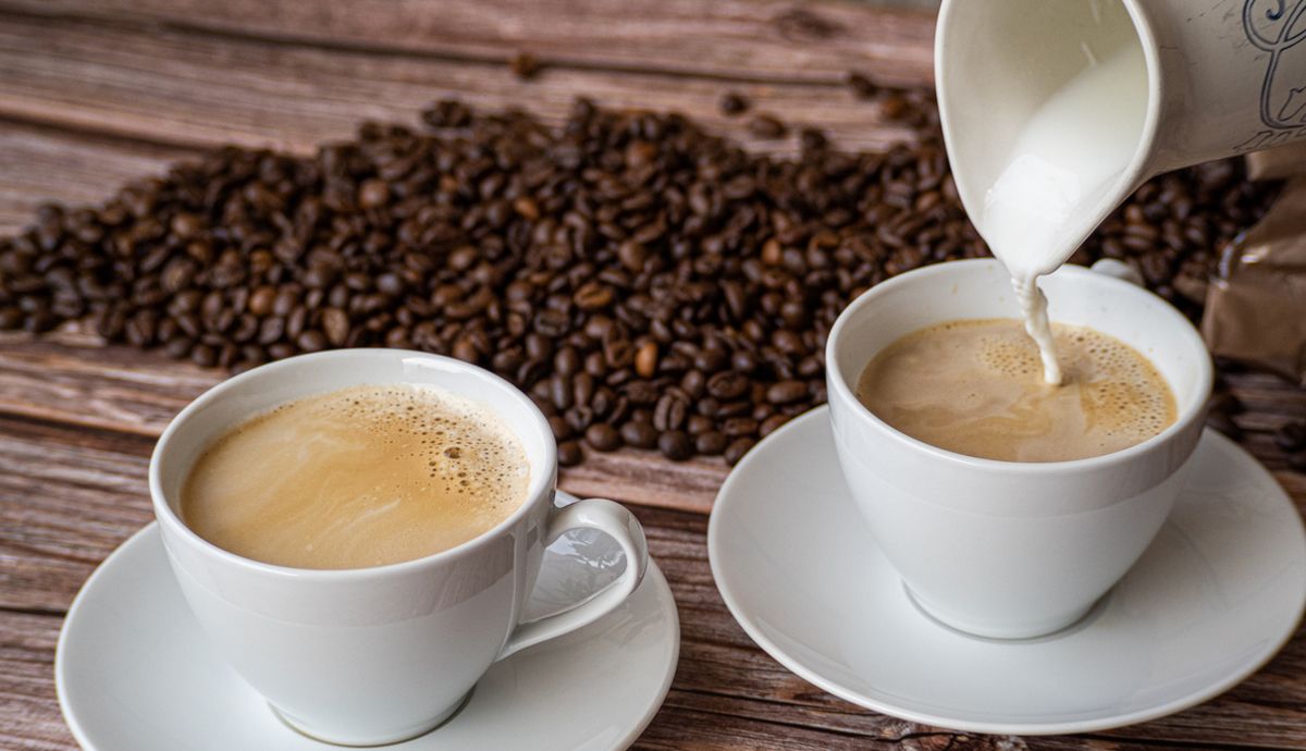 Café con leche, antiinflamatorio natural