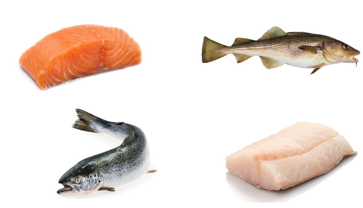 Bacalao vs Salmón. Qué pescado es más saludable