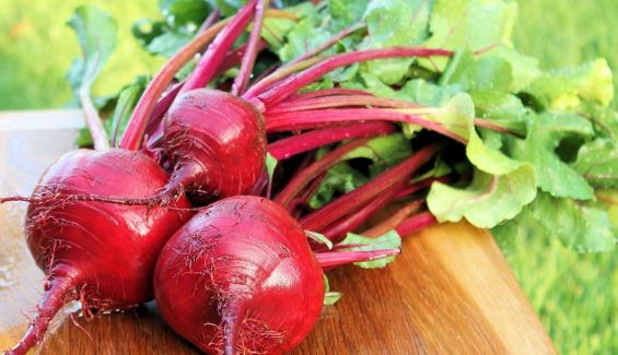 Remolacha roja  el superalimento que mejora tu resistencia