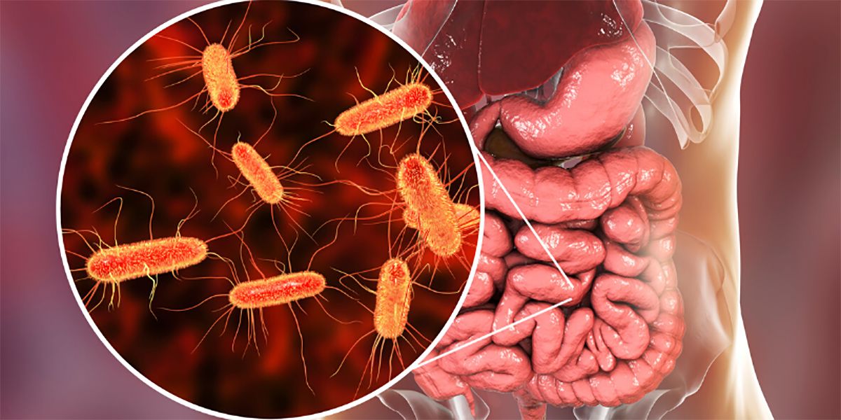 Una bacteria que resiste en el 49% de la carne ¿Cómo afecta a nuestra salud?