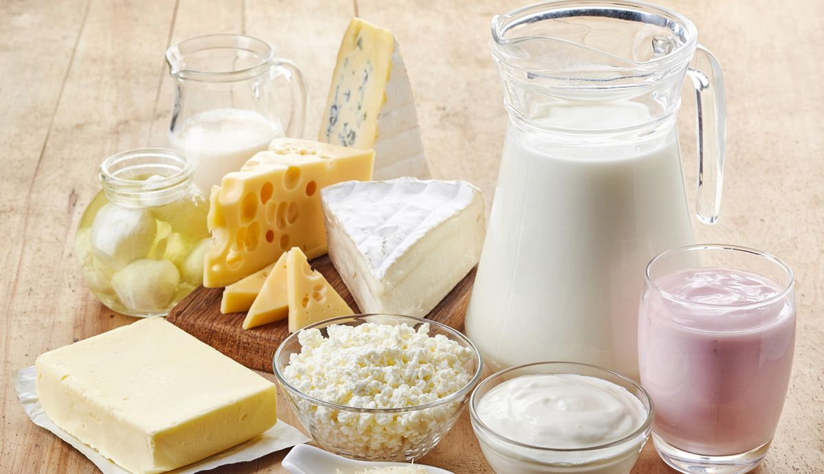 Los lácteos, importantes en la alimentación saludable Los lácteos, importantes en la alimentación saludable