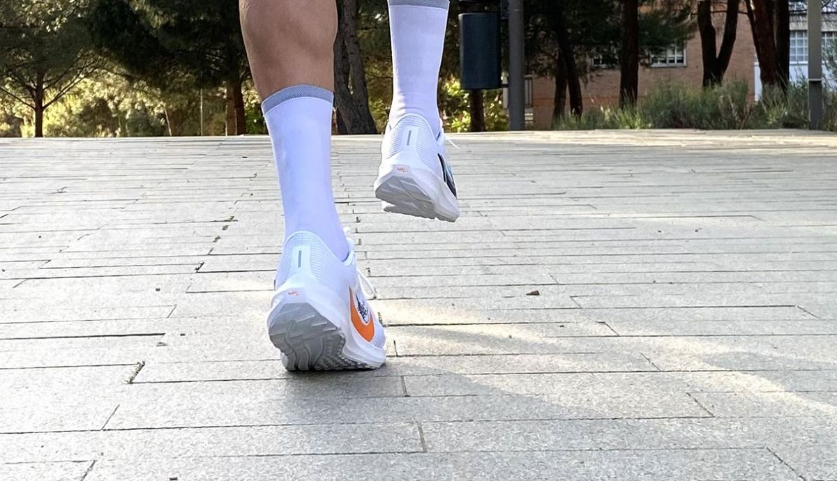 Pegasus Pegasus