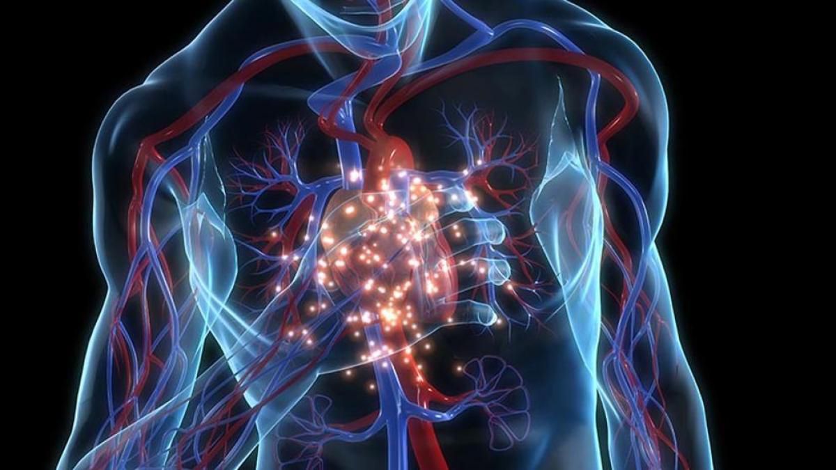 Descubren cómo predecir el riesgo de un infarto o un ictus