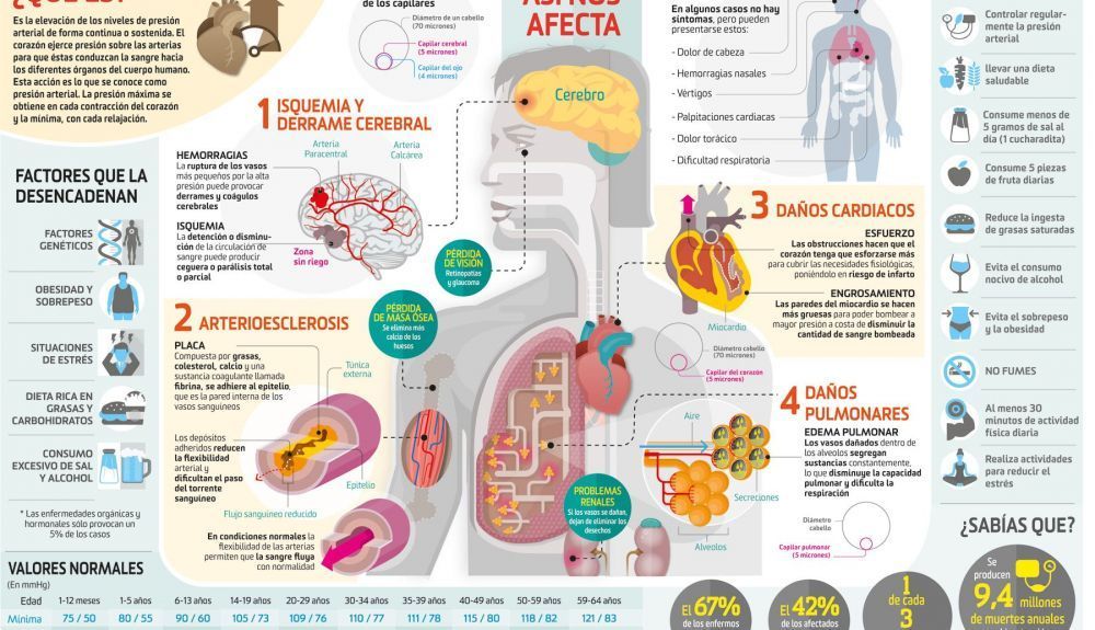 presion arterial ok