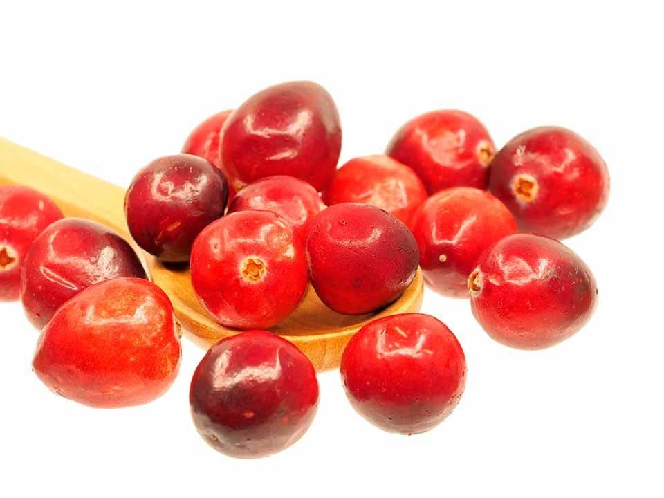 arandano rojo arandano rojo