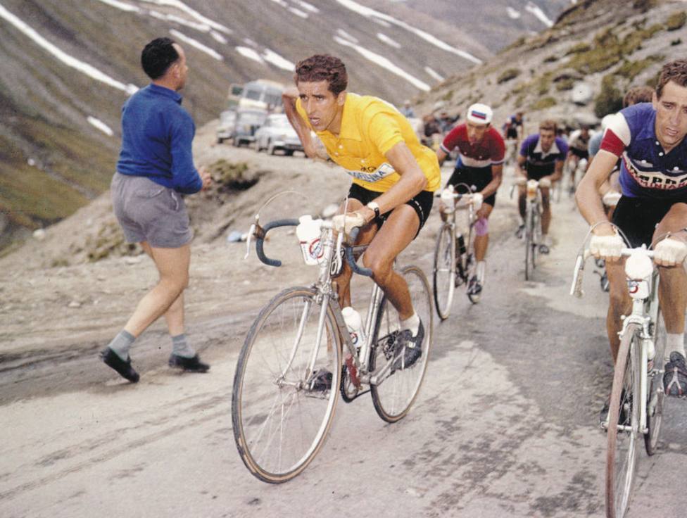 bahamontes