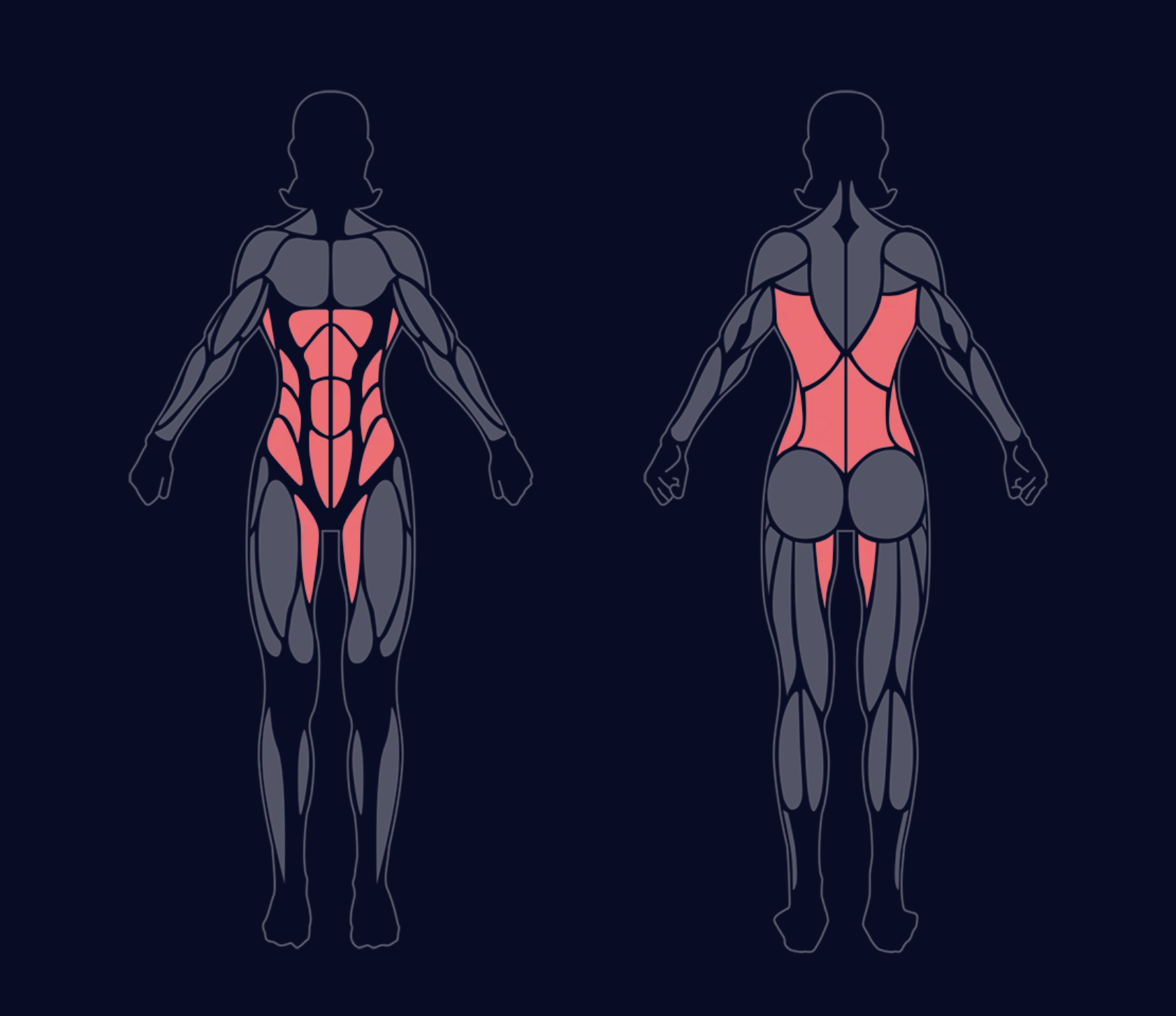 Mapa de calor de los músculos ejercitados en el entrenamiento de Emelie (como se muestra en la app COROS). Mapa de calor de los músculos ejercitados en el entrenamiento de Emelie (como se muestra en la app COROS).