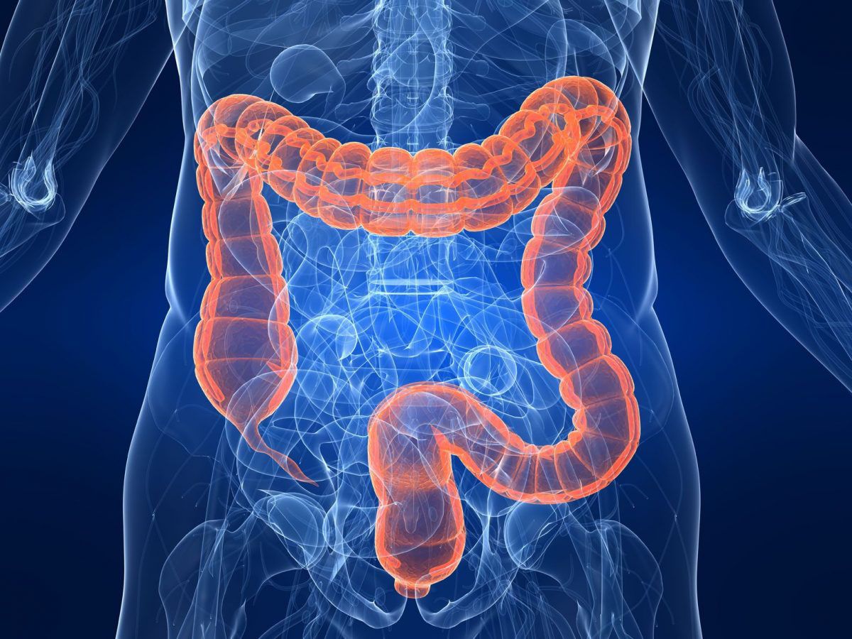 Activación del sistema de limpieza intestinal para evitar el SIBO