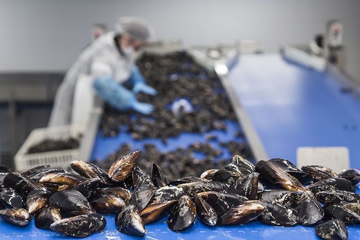Aguinamar®.bateas en las Rías Baixas