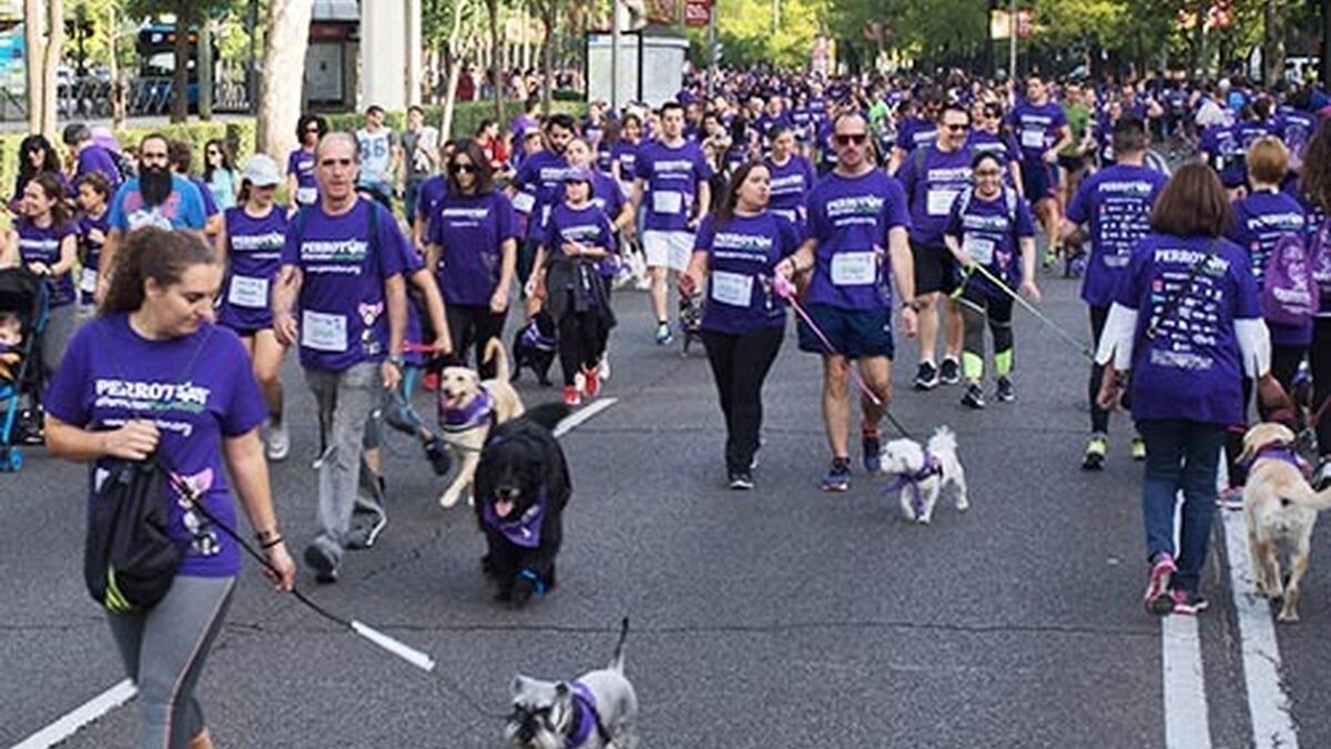 Imagen de la última edición del Perrotón en las calles de Madrid