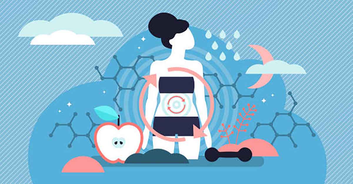 4 señales que nos indican si tenemos un buen metabolismo