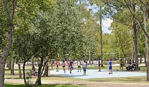 Personas jugando al voleibol en un parque
