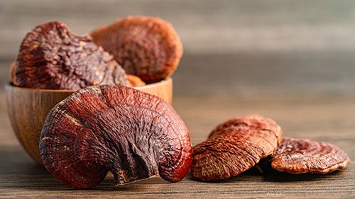 REISHI