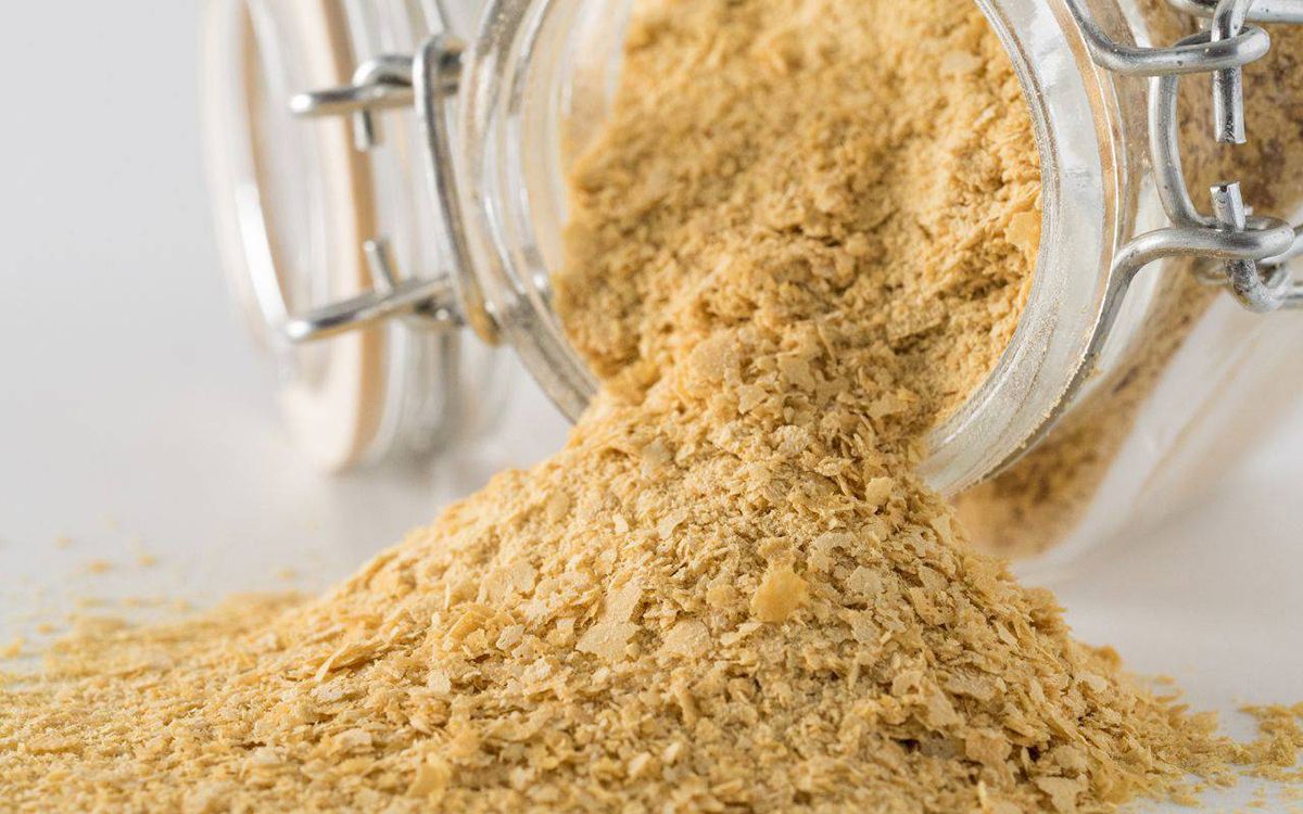 Levadura nutricional  un tesoro para nuestra alimentación