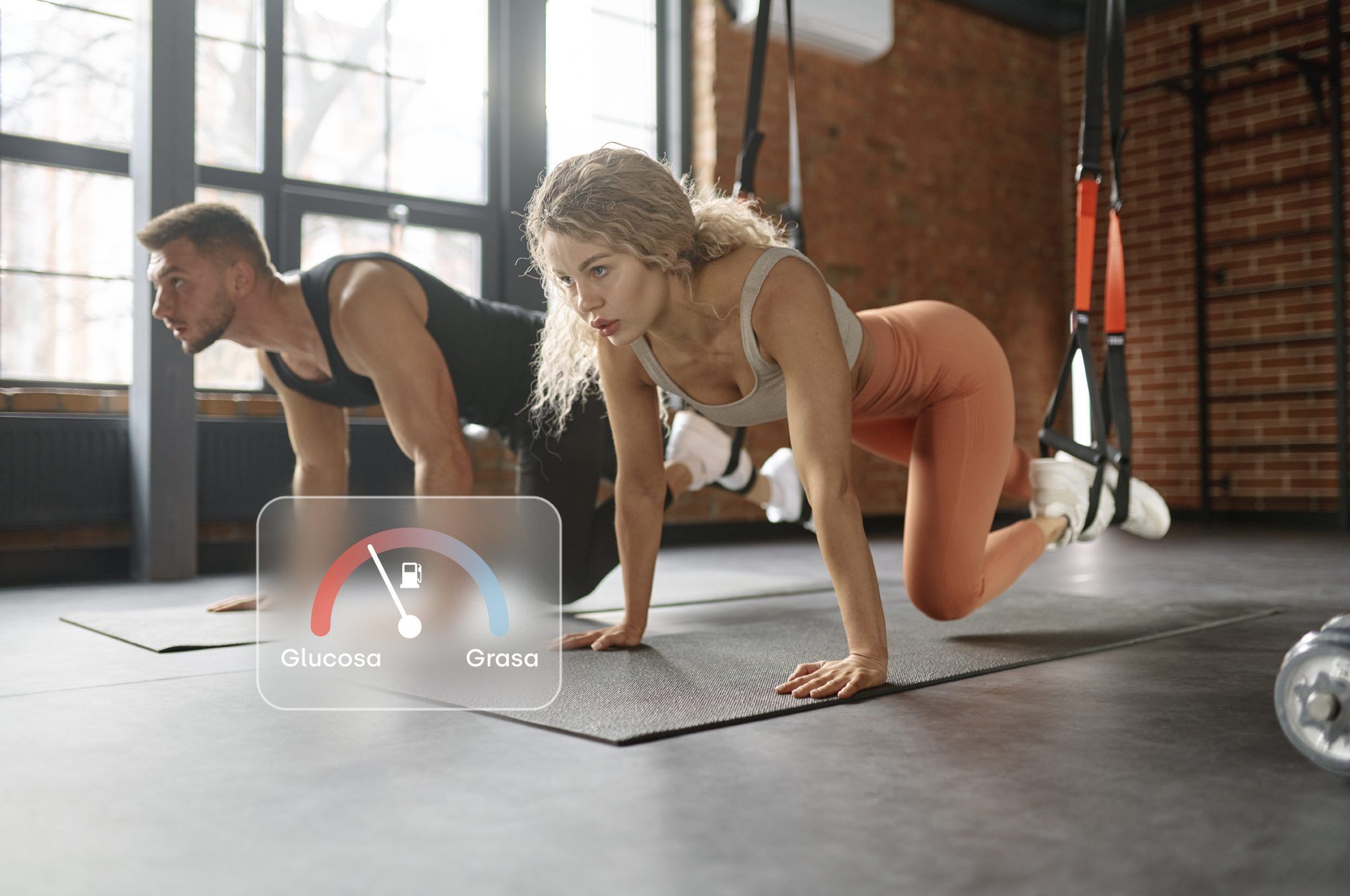flexibilidad metabolica
