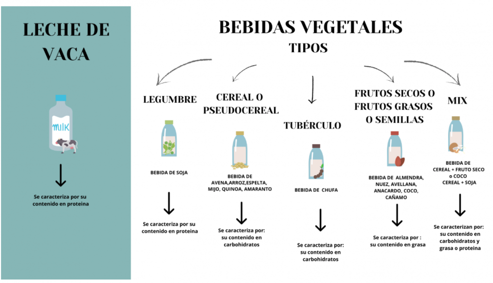 Bebidas vegetales 1 Bebidas vegetales 1