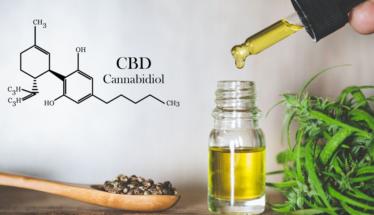 Un estudio español descubre el efecto protector que retrasa el envejecimiento del cannabidol o CBD