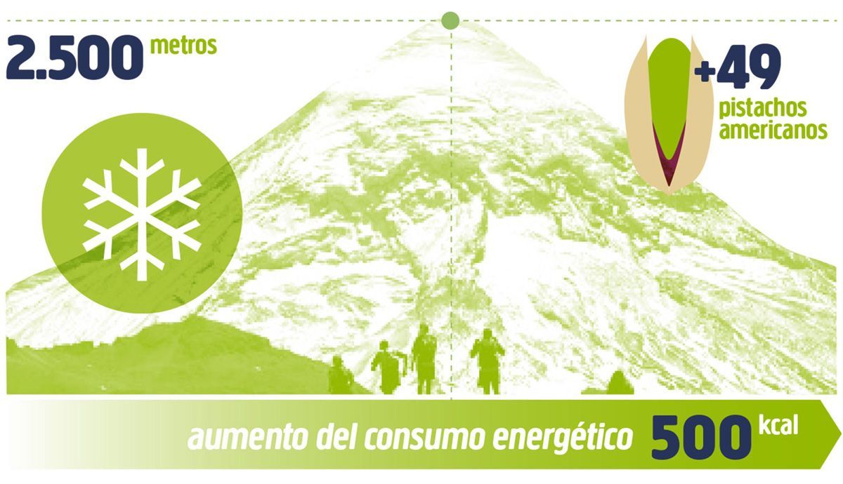 Pistachos, protectores del frío y la altitud Pistachos, protectores del frío y la altitud