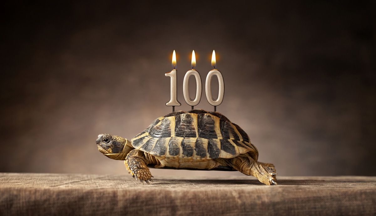 Consejos para llegar a los 100 años a pleno rendimiento