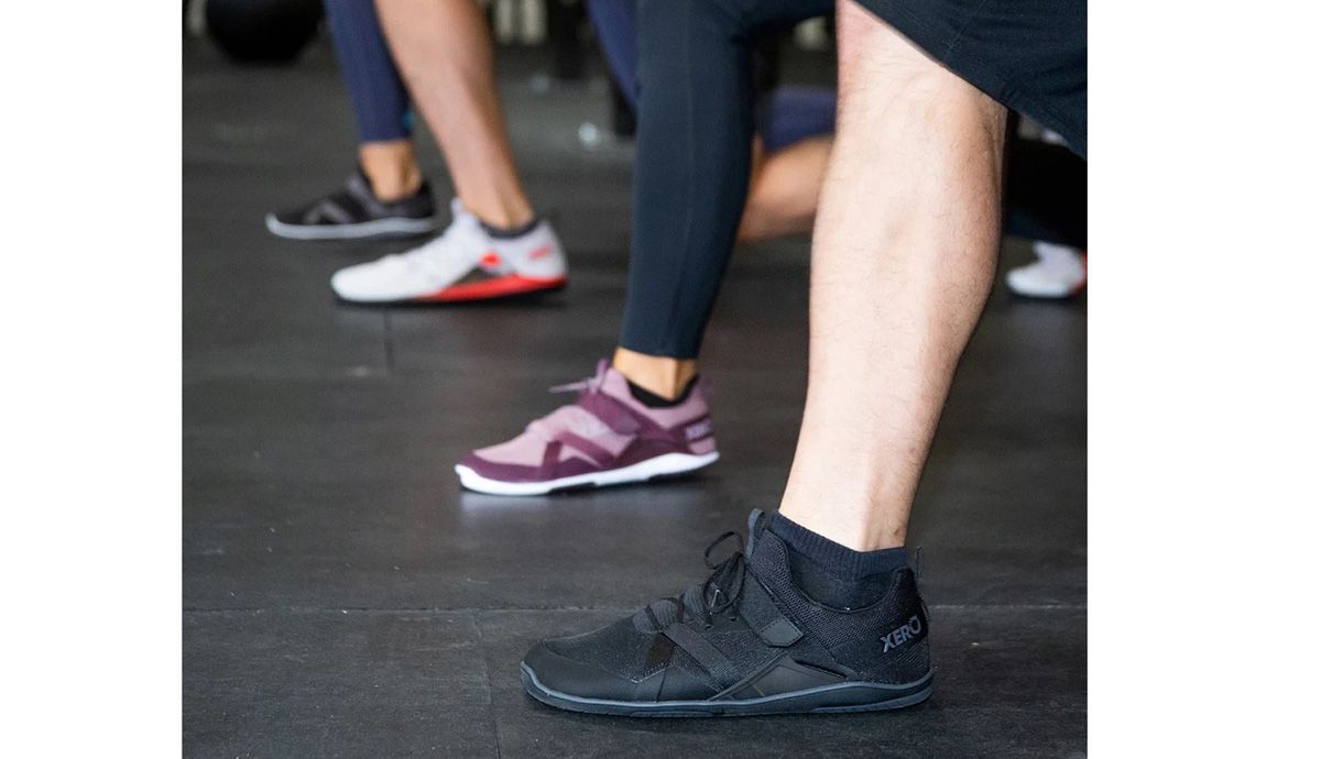Modelos Forza Trainer Modelos Forza Trainer