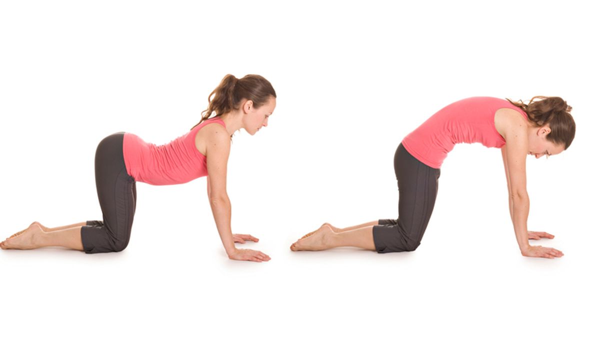 Beneficios de hacer la secuencia de  yoga de Vaca a Gato todos los días