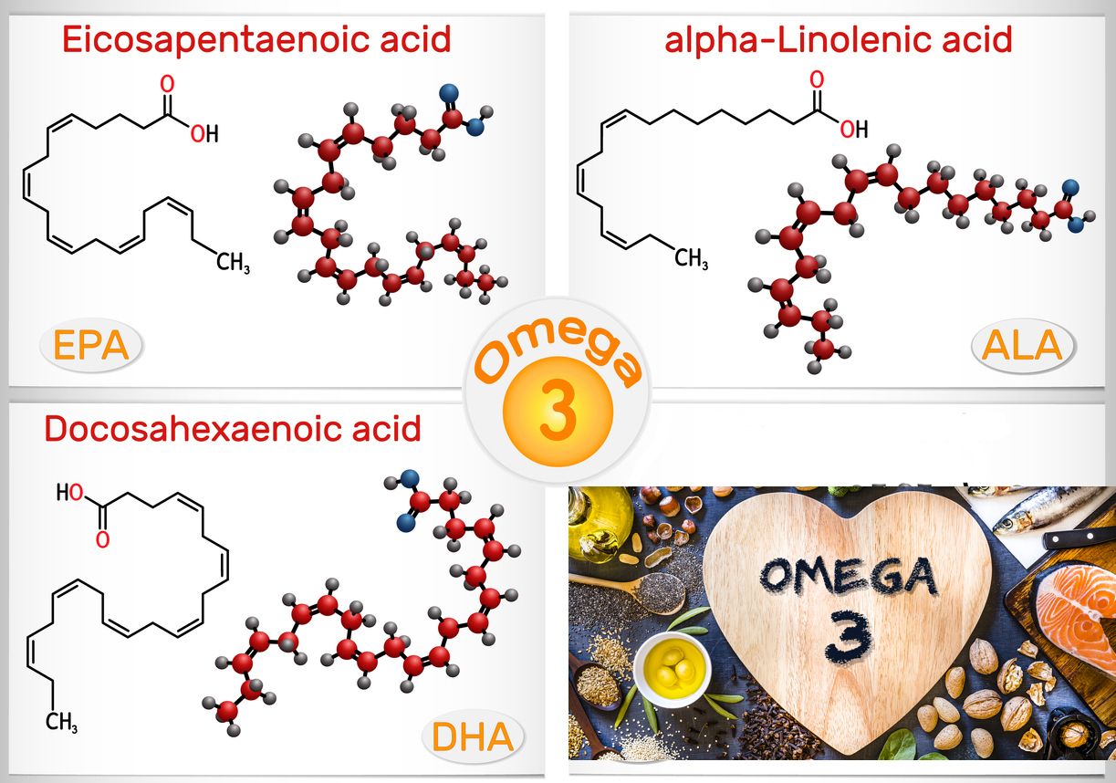 3 tipos de ácidos grasos omega 3