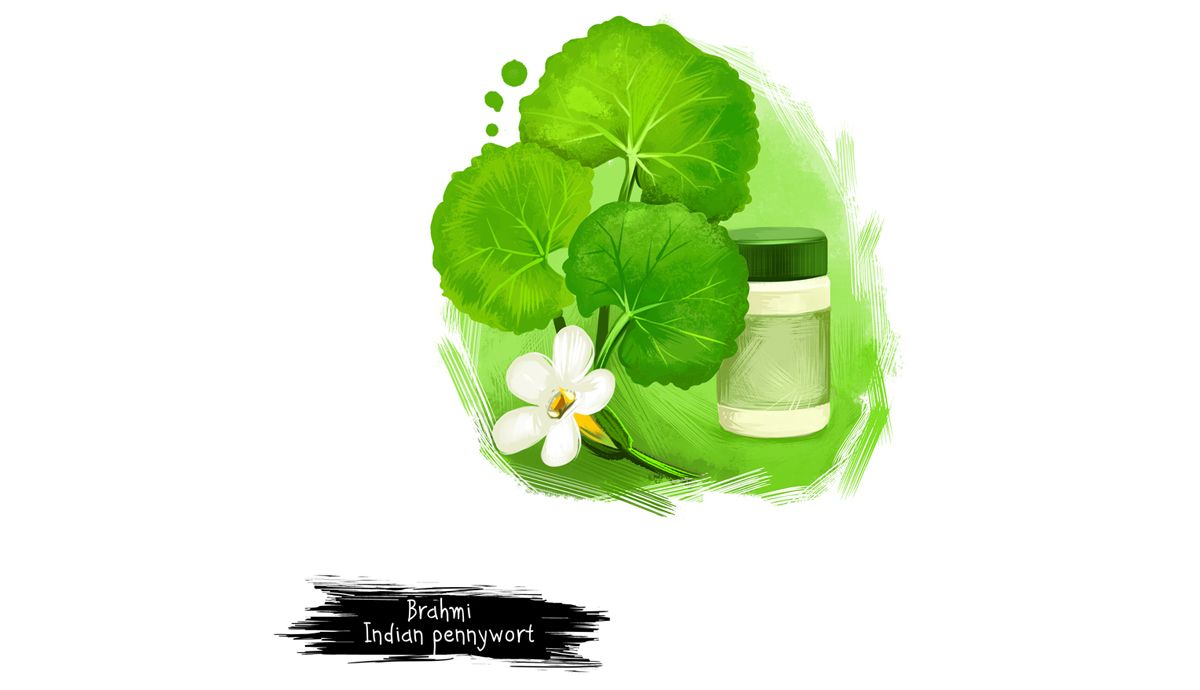 Qué es la bacopa o Brahmi y qué beneficiios tiene para la salud cerebral