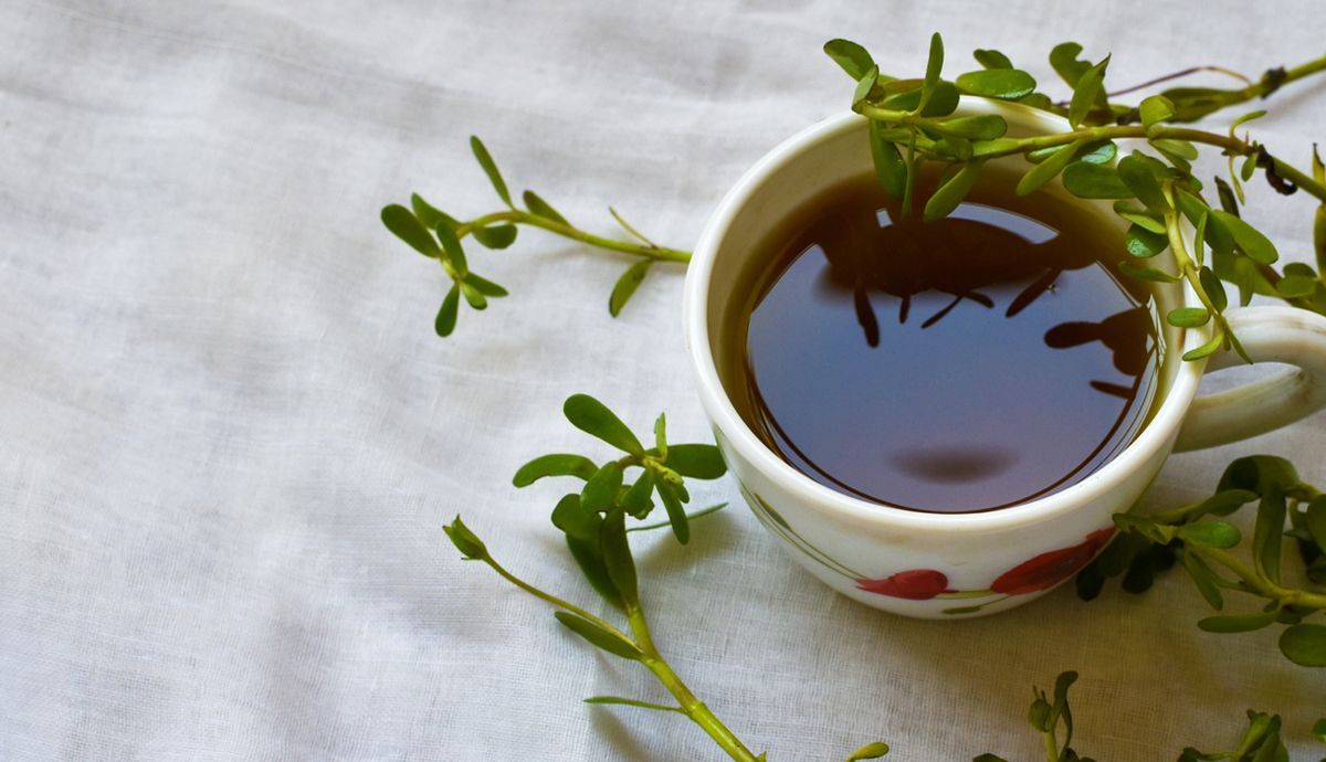 Infusión de Bacopa o Brahmi para la salud cerebral Infusión de Bacopa o Brahmi para la salud cerebral