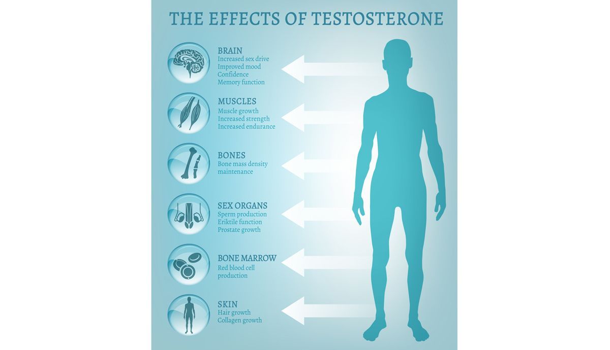 Efectos de la testosterona en el cuerpo
