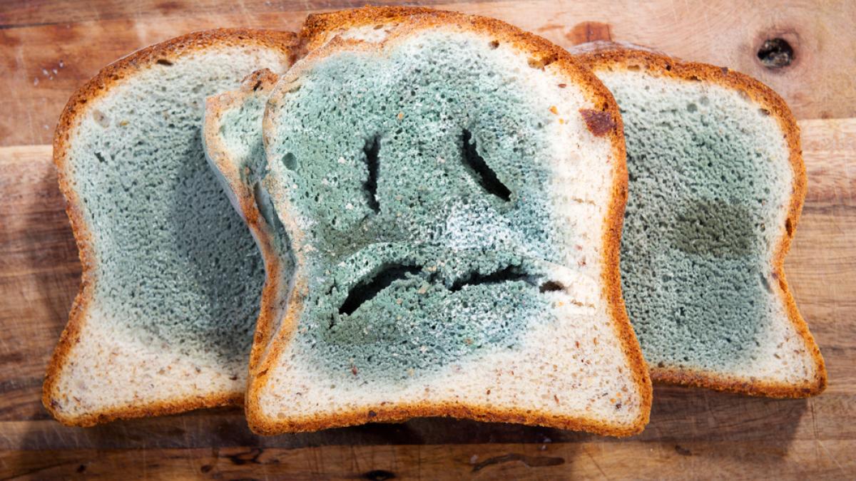 ¿Tiramos todos los alimentos a los que le ha salido moho? Algunos no.