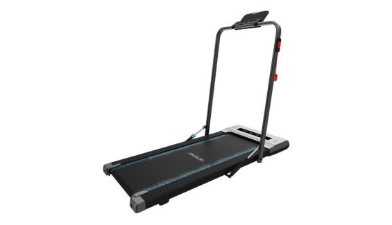 cintcec2