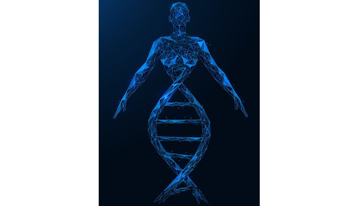 Obesidad y genética Obesidad y genética