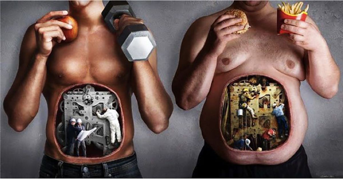 ¿Cómo nos hace ganar peso la alimentación a base de ultrarprocesados?