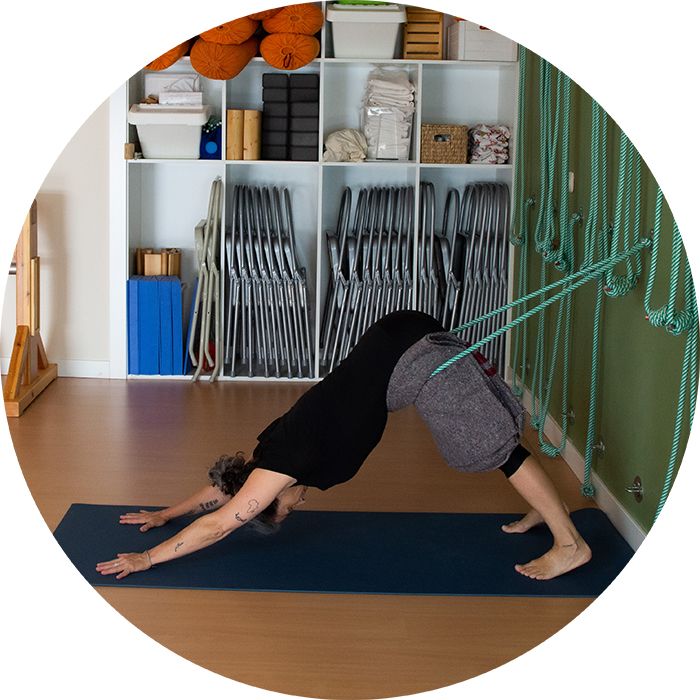 Adho Mukha Svanasana Adho Mukha Svanasana