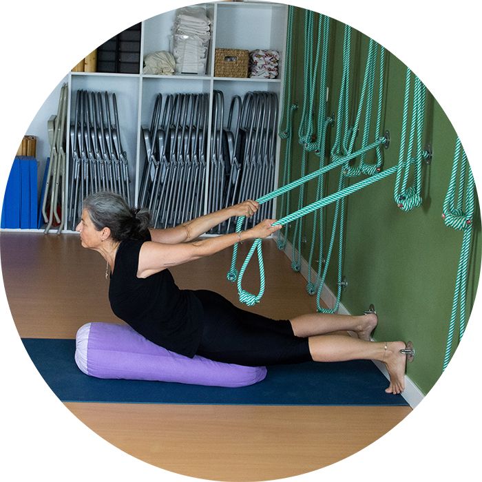 Urdhva Mukha Svanasana Urdhva Mukha Svanasana