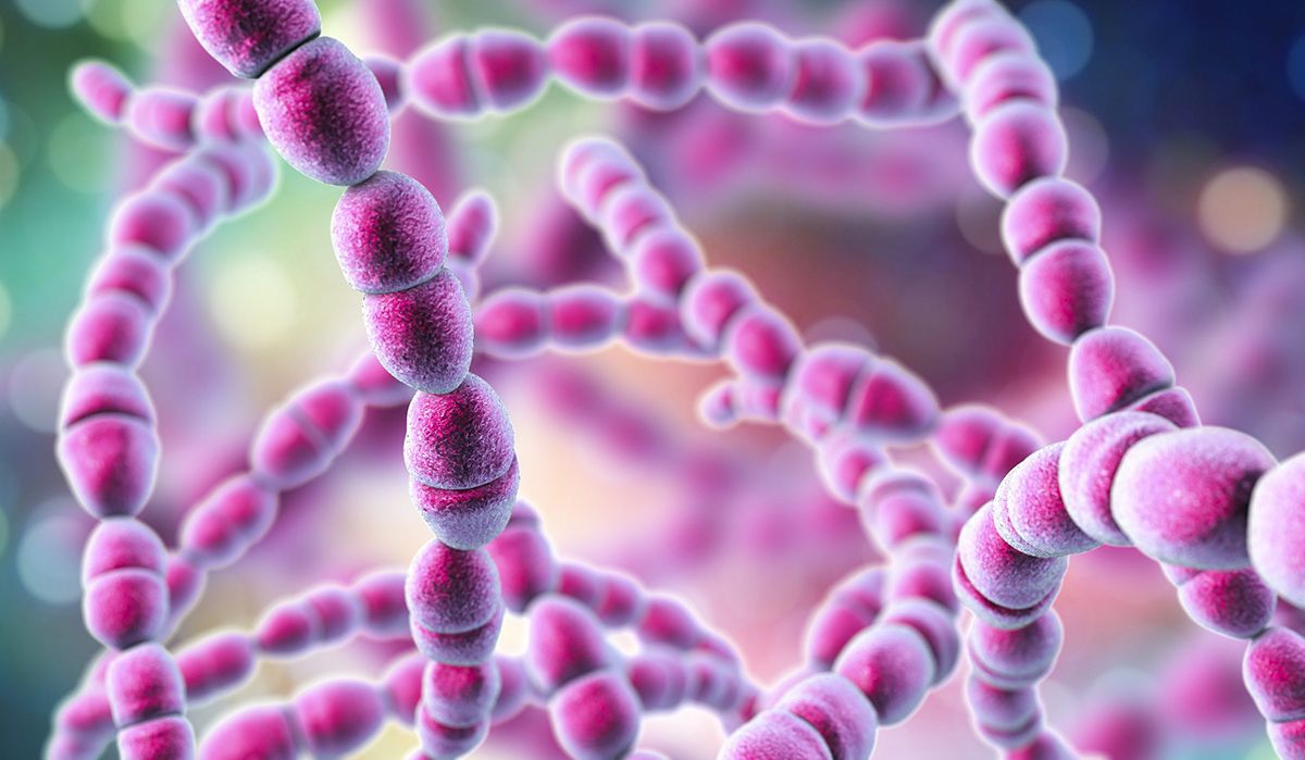 Estreptococo A, la bacteria carnívora que ha activado la alarma en Japón