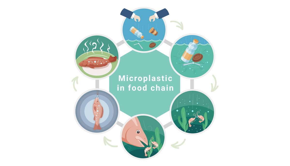 Microplásticos en la cadena alimenticia