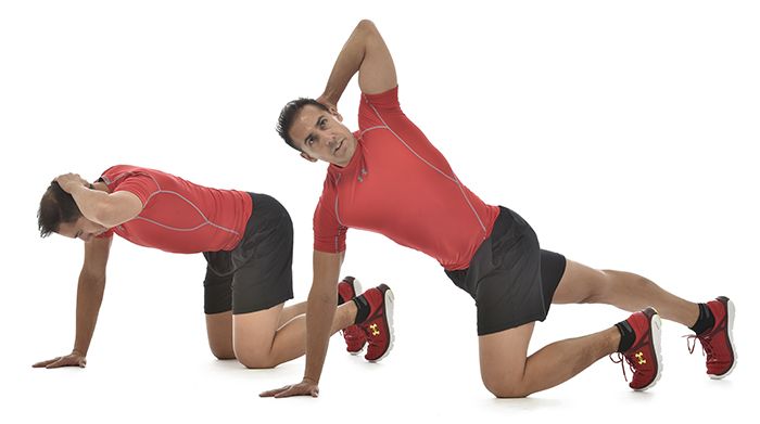 Core erector espinal Core erector espinal