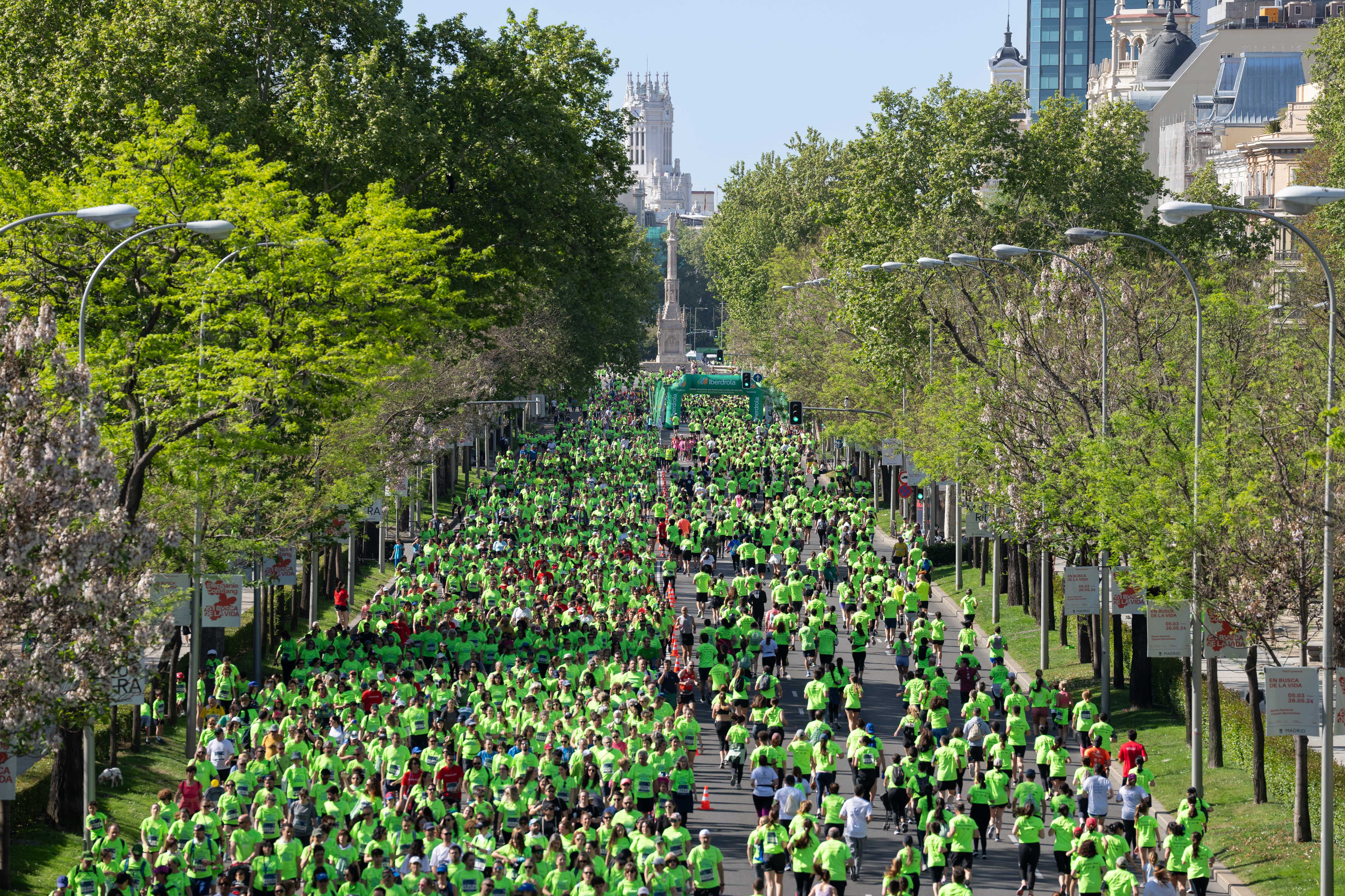 CARRERA CANCER 2024 13