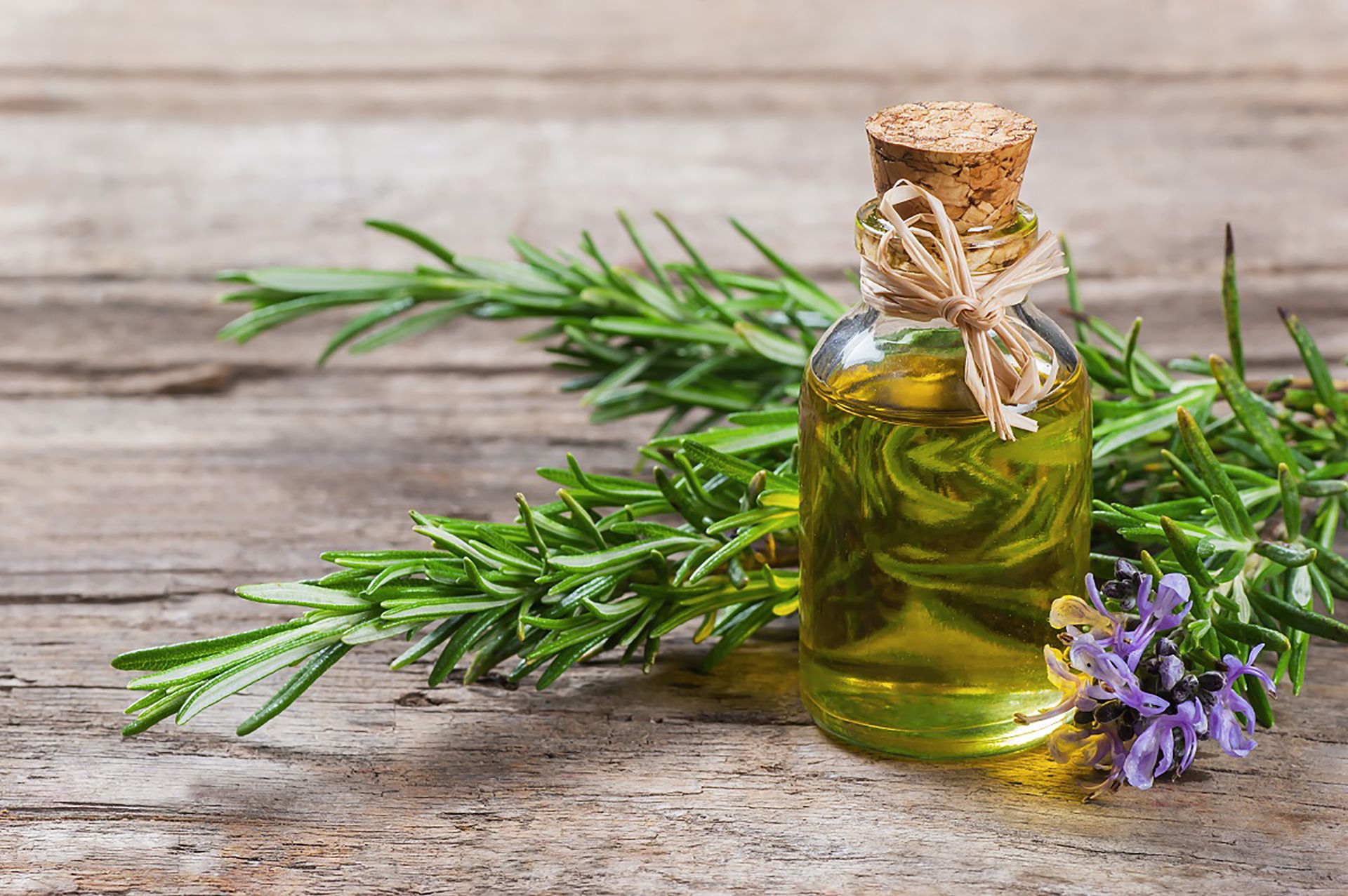 Esta es la planta que de forma natural estimula el crecimiento del cabello