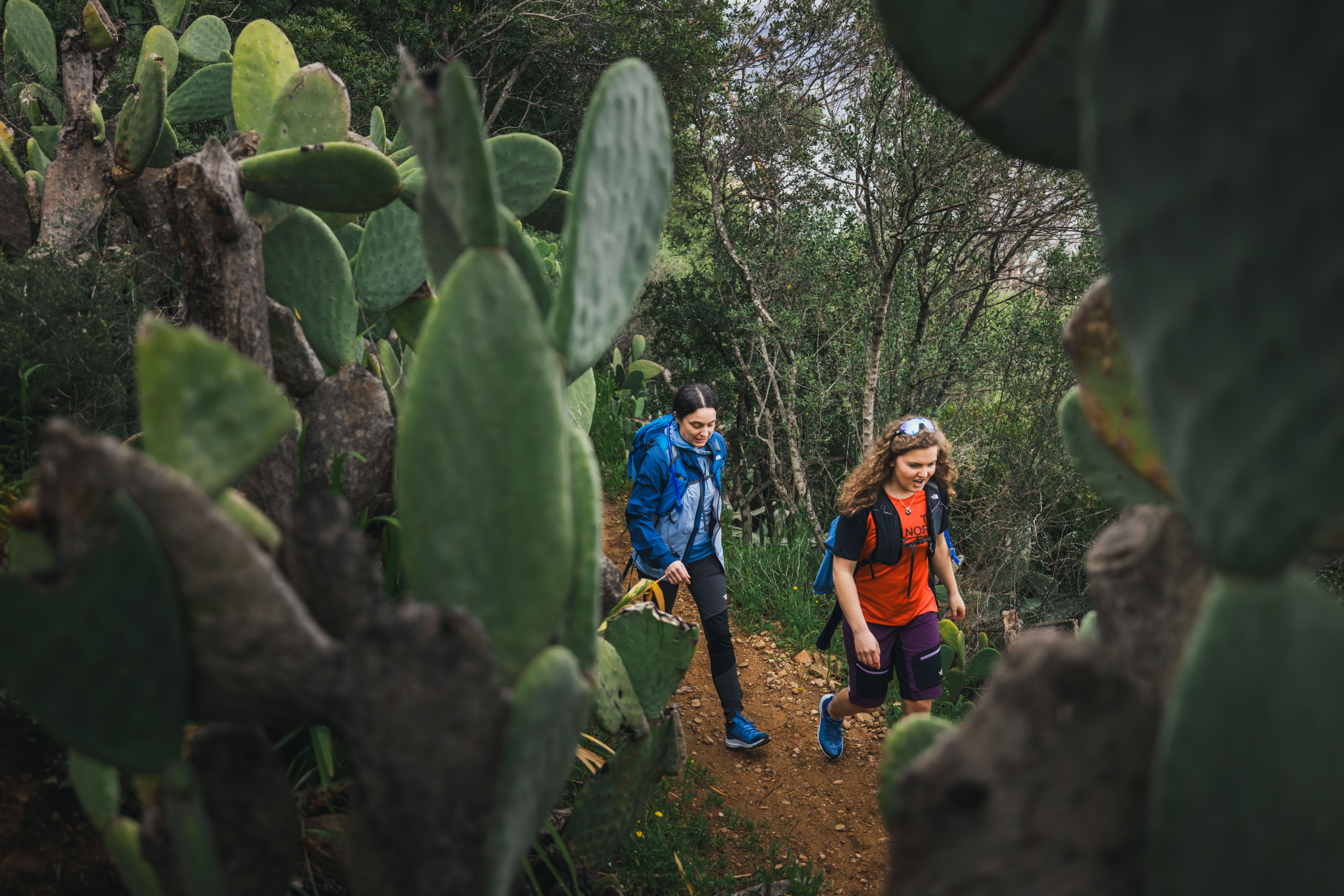 ©Maurizio Marassi    TNF CORSICA 021