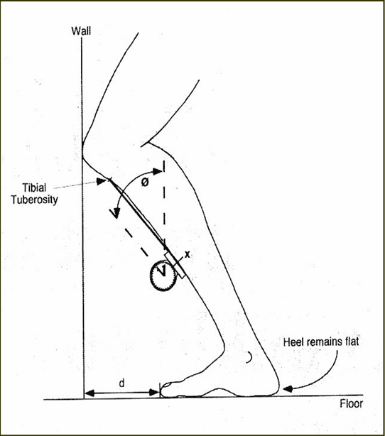 lunge test4