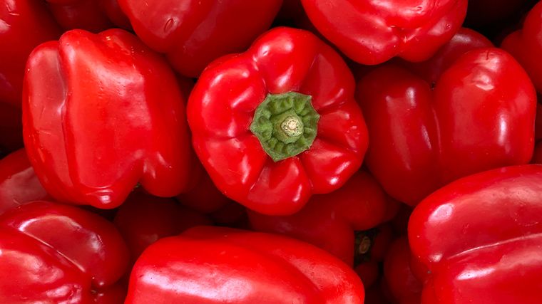Pimiento rojo