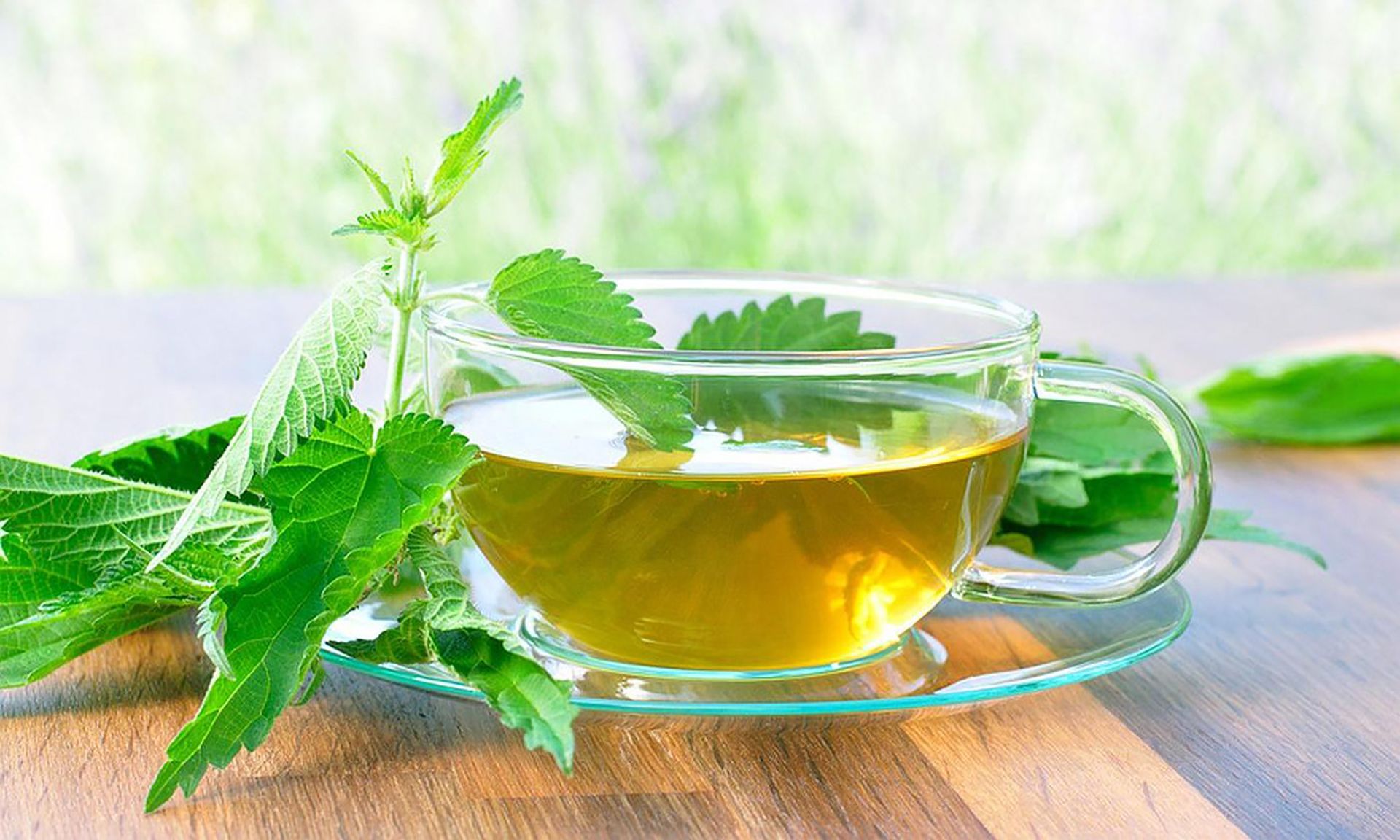 Si estás haciendo ayuno, estas plantas serán tus mejores aliadas