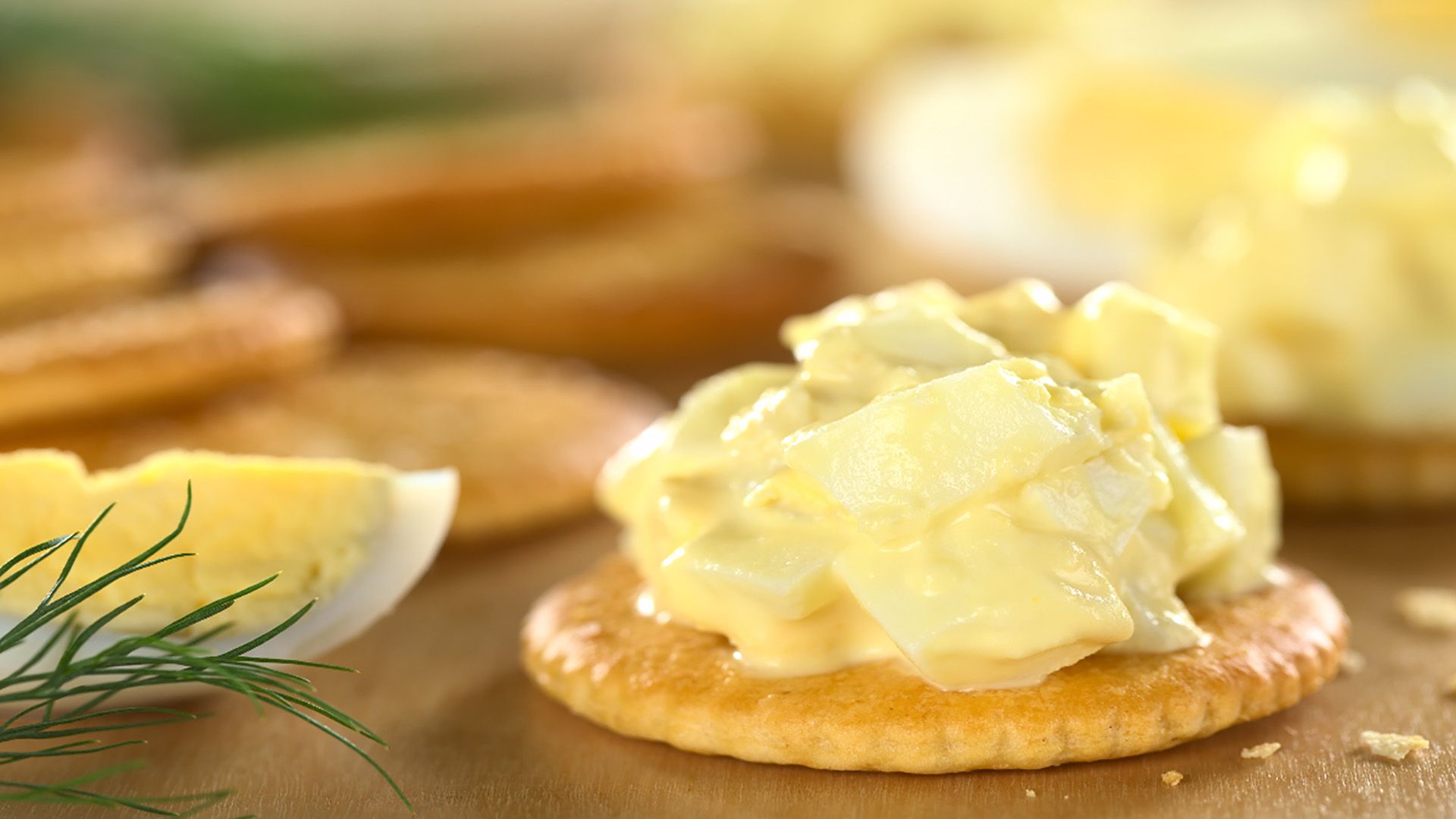 Salmonela estos 5 alimentos son los más comunes a transmitirla